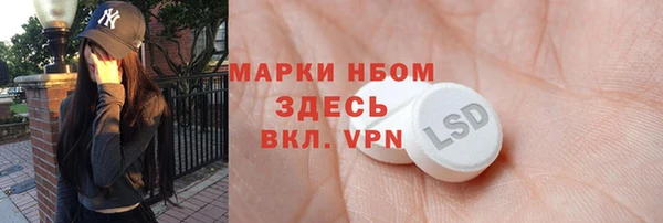 молекула духа Ельня