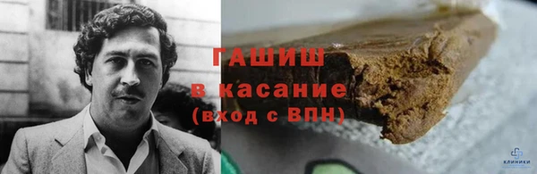 молекула духа Ельня
