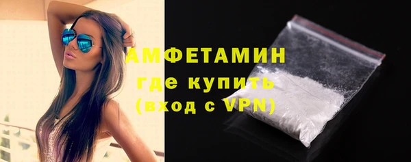 молекула духа Ельня