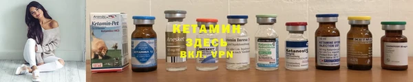 молекула духа Ельня