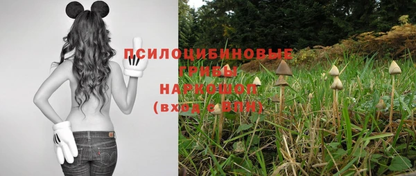 каннабис Елизово