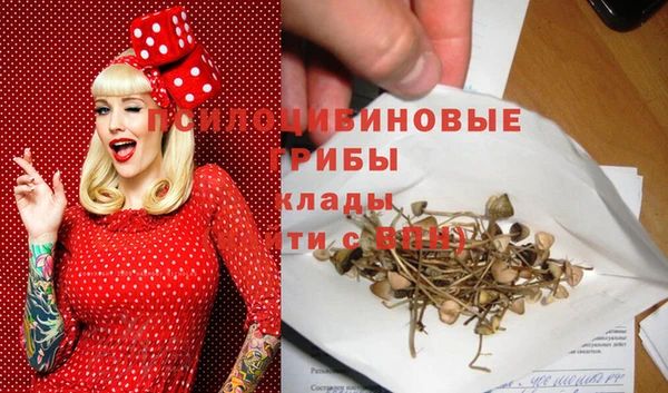 каннабис Елизово