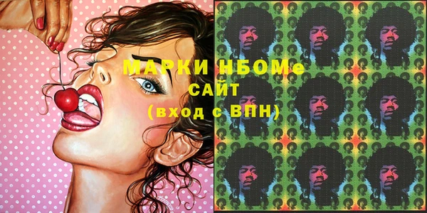 молекула духа Ельня