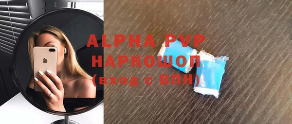 молекула духа Ельня