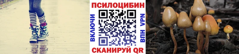 Псилоцибиновые грибы Magic Shrooms  Купить закладки  Азнакаево 